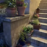 Les Grands Arbres Apartamento Obernai