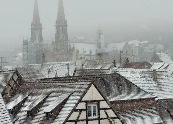Appartement Les Grands Arbres