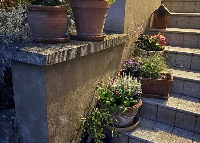 Les Grands Arbres Appartement Obernai